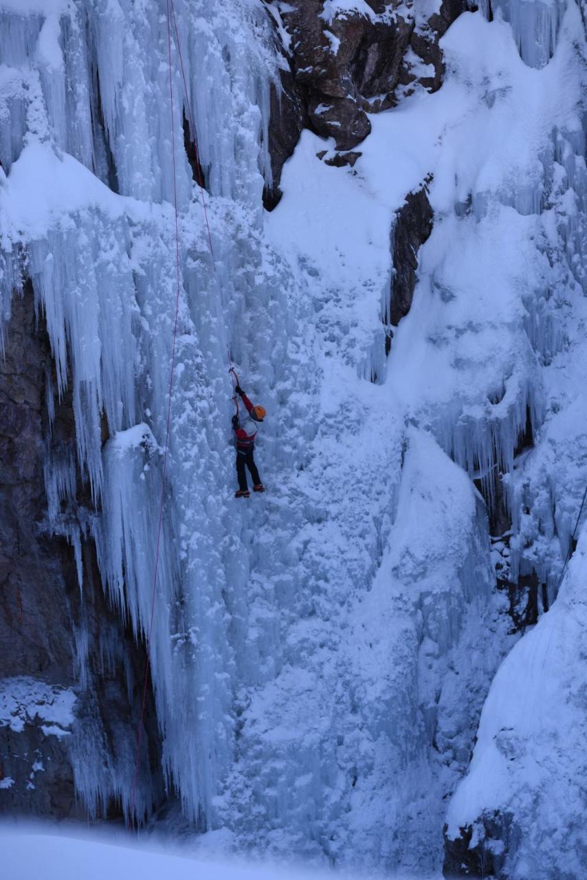 Timber Ridge Lodge Ouray ภายนอก รูปภาพ